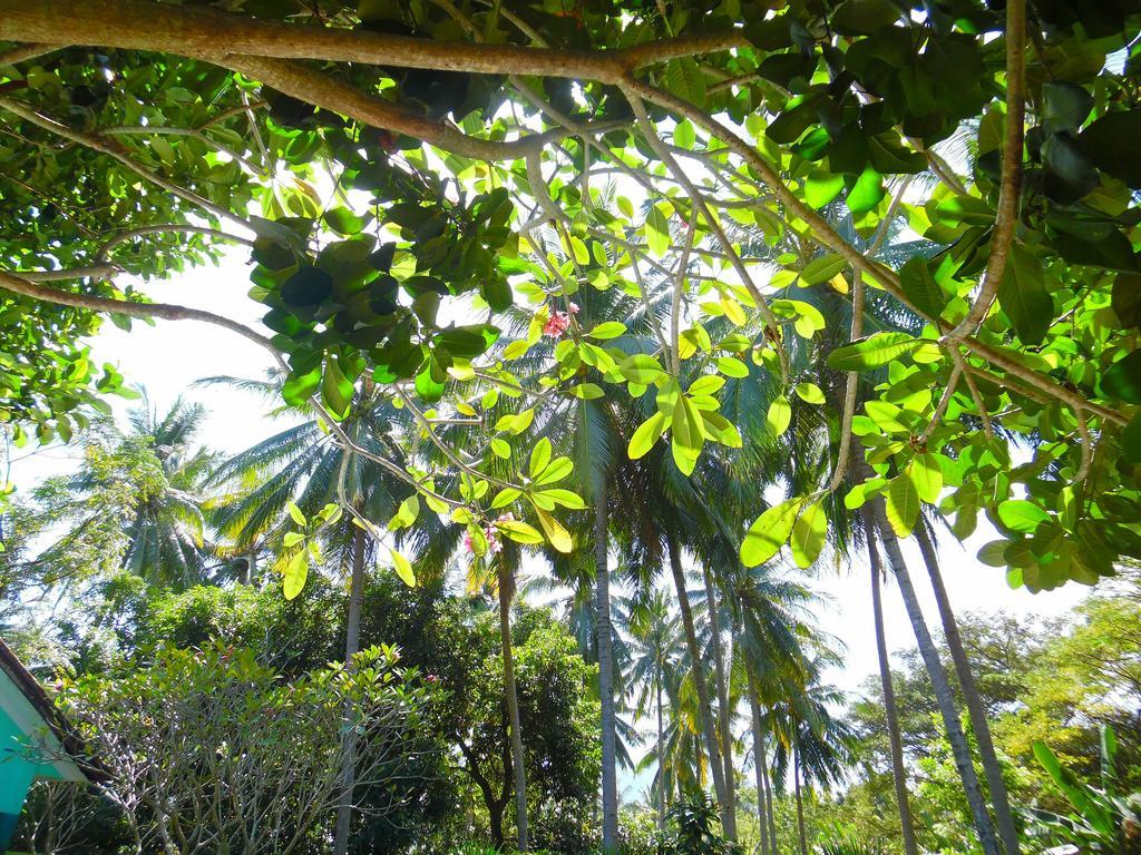Lazy Monkey Hotel Senggigi Exterior foto